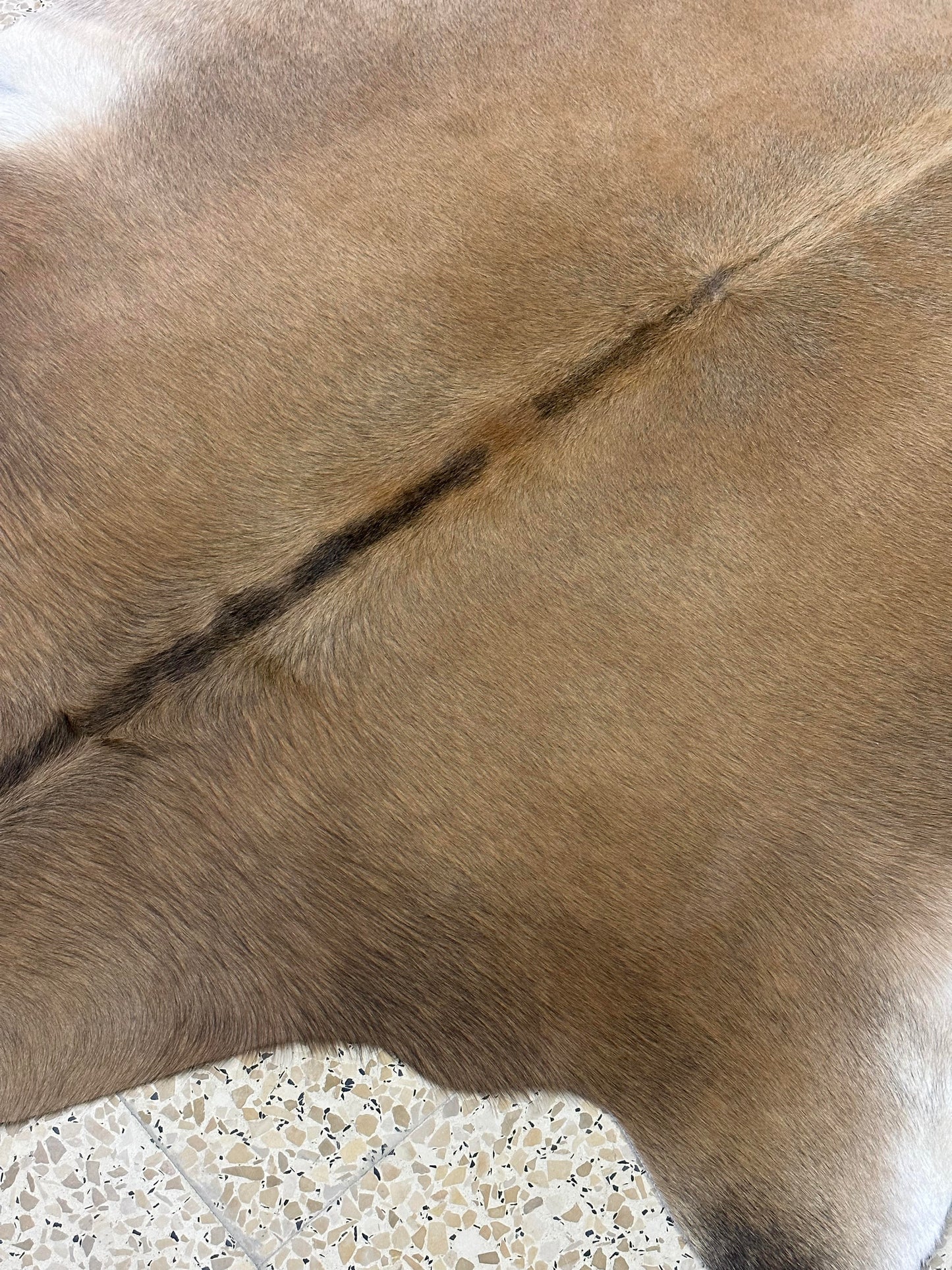 Natural Cowhide - Champagne