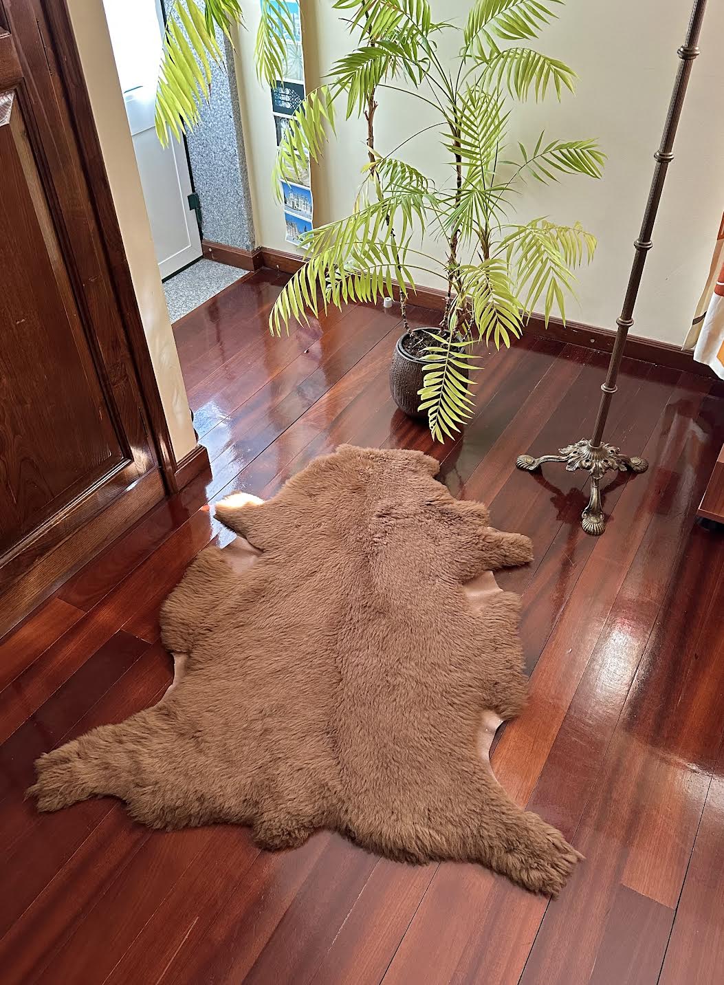 Sheep Rug - Dyed