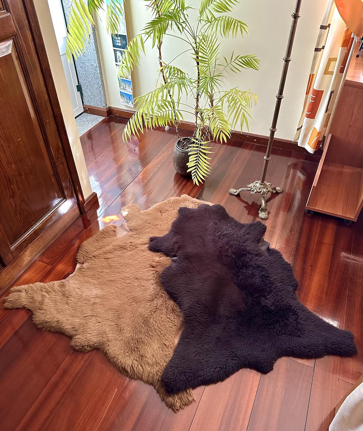 Sheep Rug - Dyed