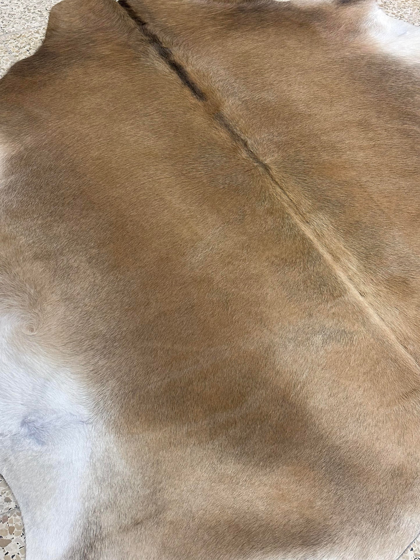 Natural Cowhide - Champagne