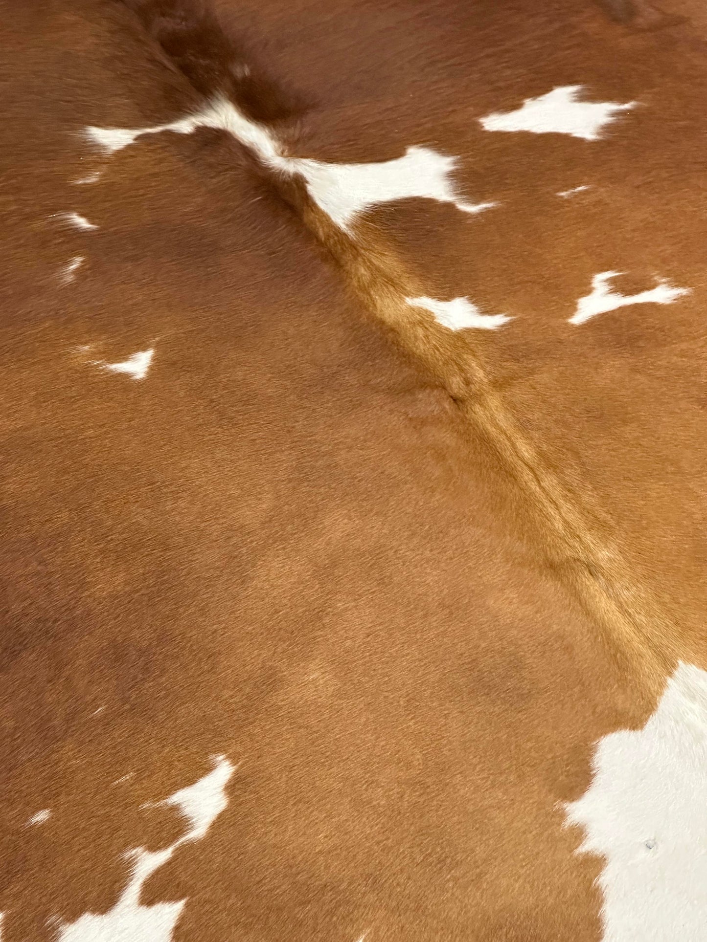 Natural Cowhide - Brown & White