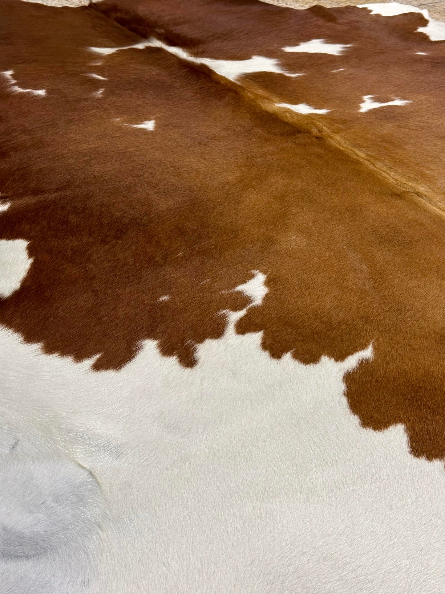 Natural Cowhide - Brown & White