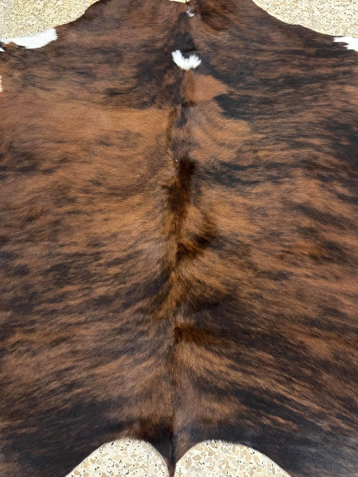 Natural Cowhide - Tricolor