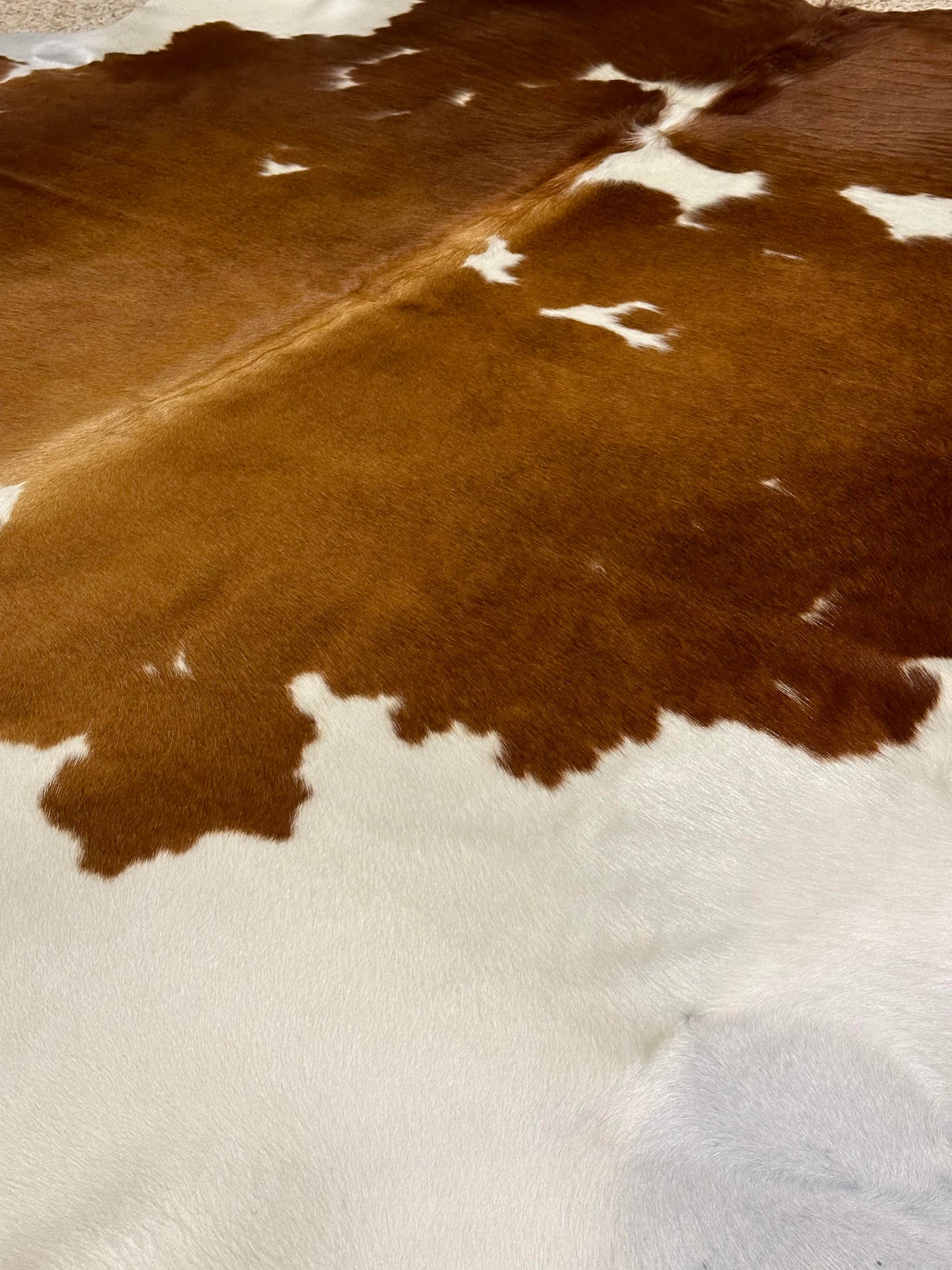 Natural Cowhide - Brown & White