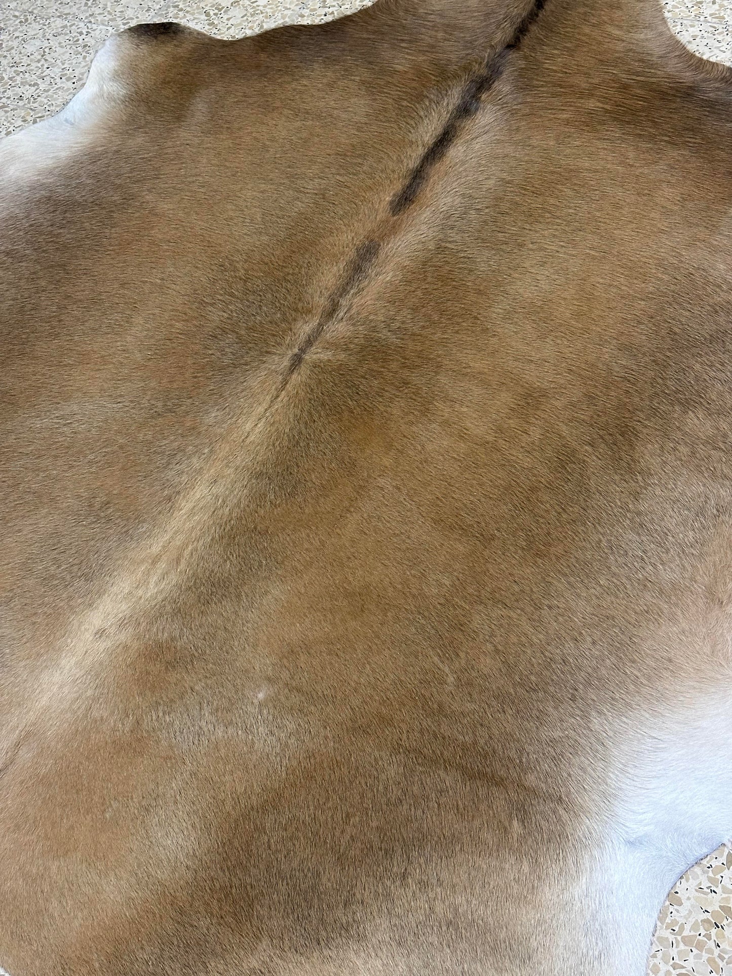 Natural Cowhide - Champagne