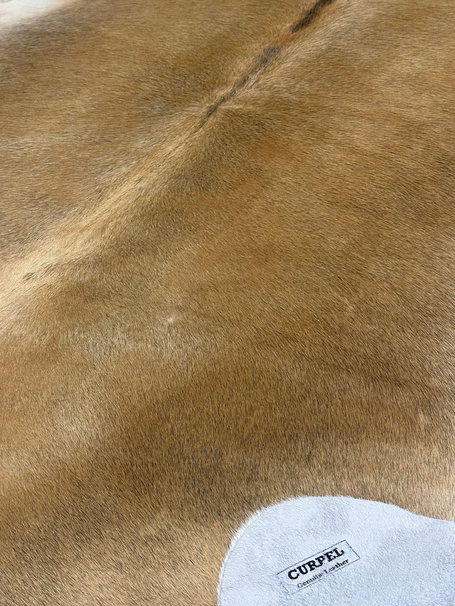 Natural Cowhide - Champagne