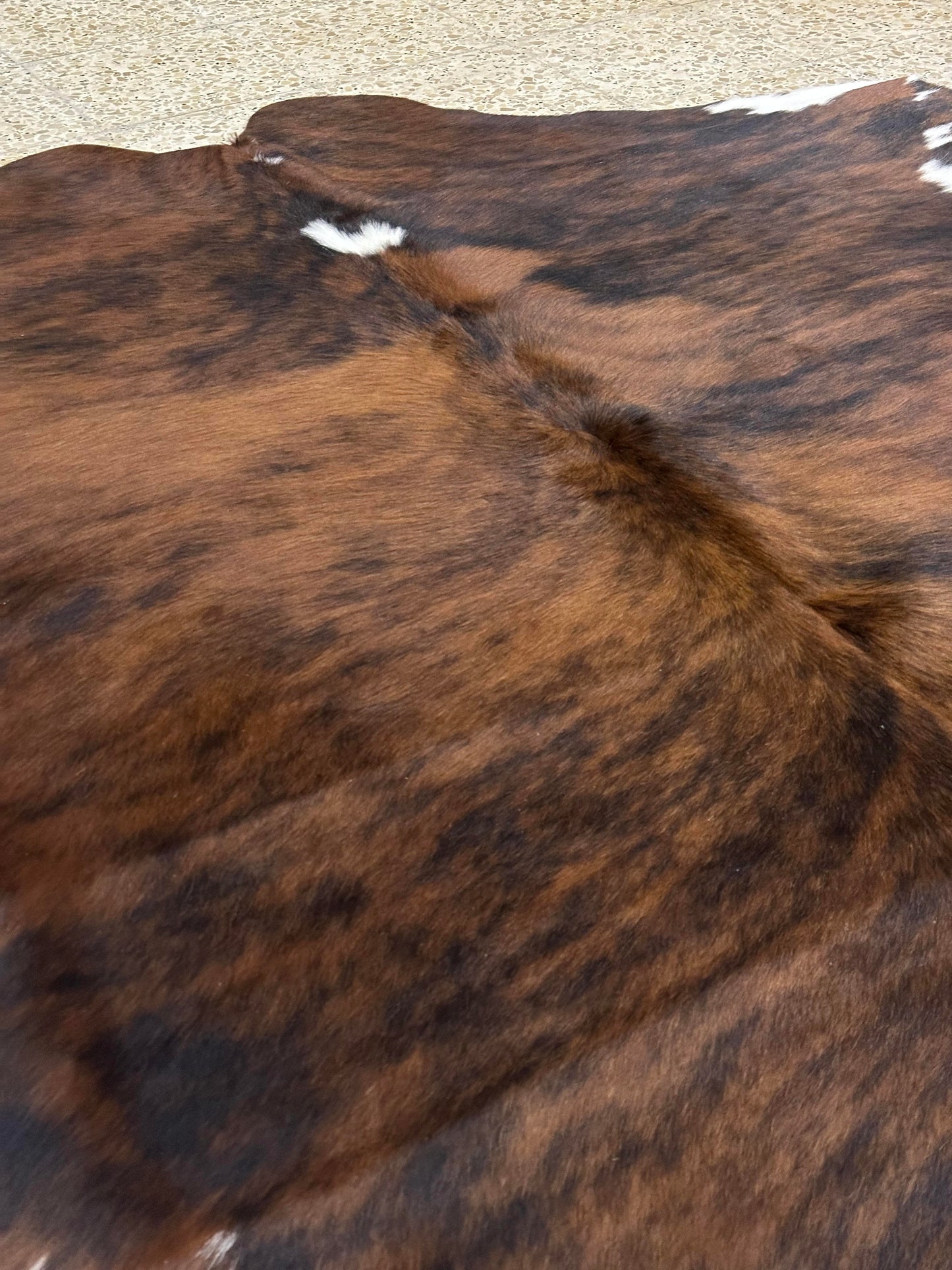 Natural Cowhide - Tricolor