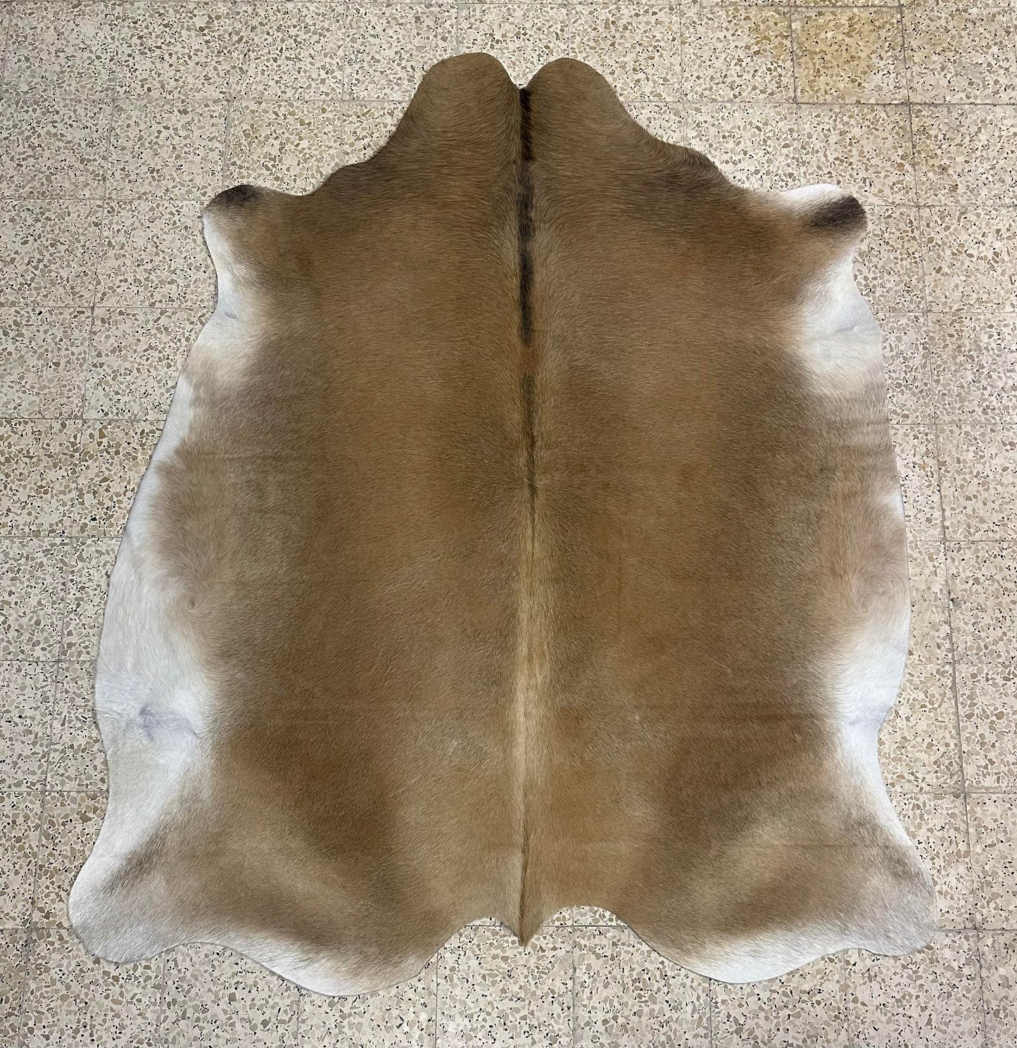 Natural Cowhide - Champagne